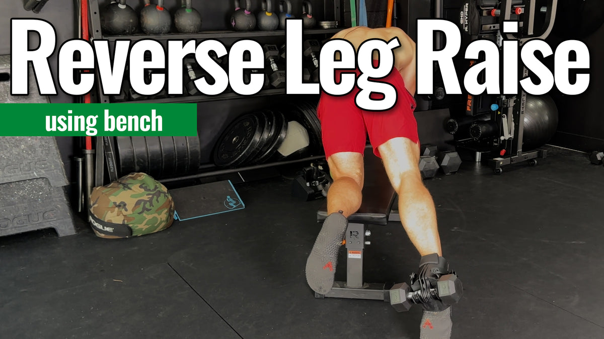 Leg Raises Rumpf How To - Reverse Leg Raises (Using Bench) – Animalhouse Fitness